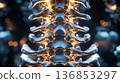 Detailed 3D medical visualization of a human spine with glowing orange nerves and vertebrae on a dark background. 136853297