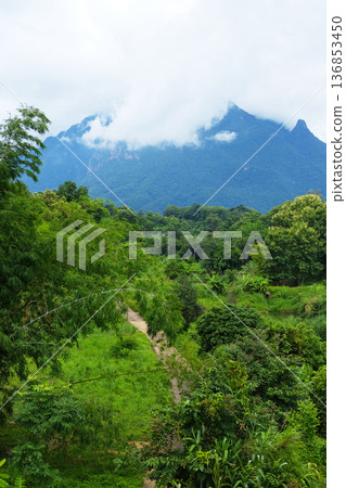 Aerial view of forest in the mountains with countryside road in rainforest and fog cover on Doi luang Chiang dao mountain in Thailand 136853450