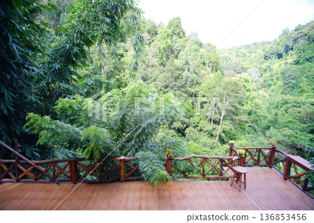 Wooden balcony terrace of Local treehouse in tropical rainforest at Mae Mae village in Chiang Dao of Thailand Wooden balcony terrace of Local treehouse in tropical rainforest at Mae Mae village in Chiang Dao of Thailand 136853456