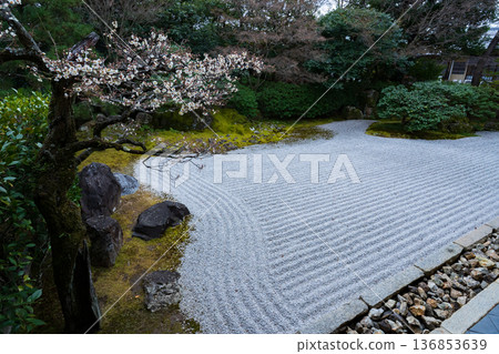 從京都市東山區圓德院北丈眺望南庭園 從京都市東山區圓德院北丈眺望南庭園 136853639