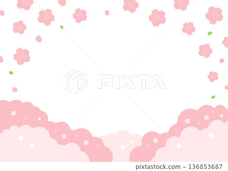Cherry blossom background illustration 136853687