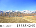 Snow-covered mountains and metasequoia trees 136854245