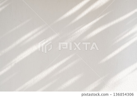 Abstract natural tree leaves shadow on white wall background 136854306