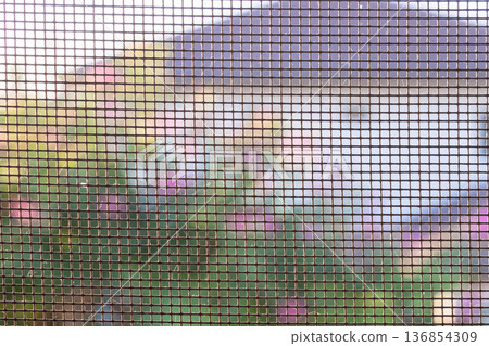 mosquito net wire screen on house window protection against insect 136854309