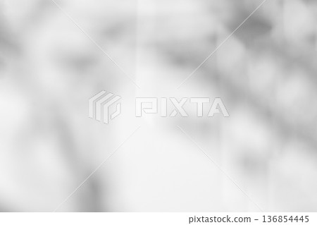 Abstract natural tree leaves shadow on white wall background Abstract natural tree leaves shadow on white wall background 136854445