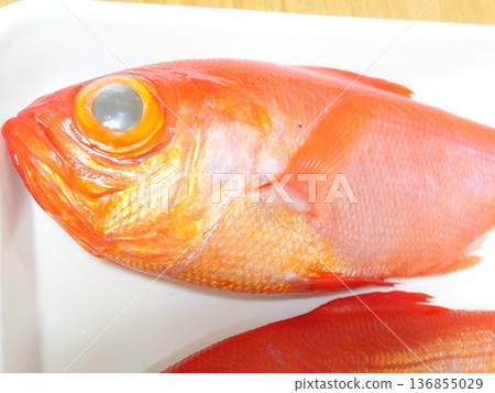 Freshly caught alfonsino Freshly caught alfonsino 136855029