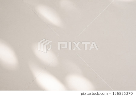 Abstract natural tree leaves shadow on white wall background Abstract natural tree leaves shadow on white wall background 136855370