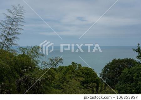 View of the Black Sea in the Botanical Garden in Georgia View of the Black Sea in the Botanical Garden in Georgia 136855957