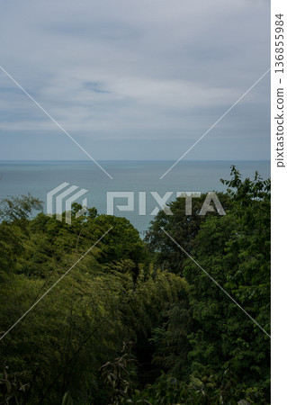 View of the Black Sea in the Botanical Garden. Georgia 136855984