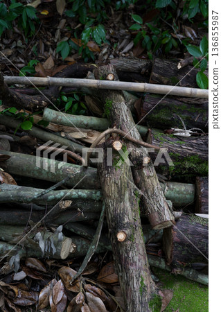 Cut tree branches firewood close-up 136855987