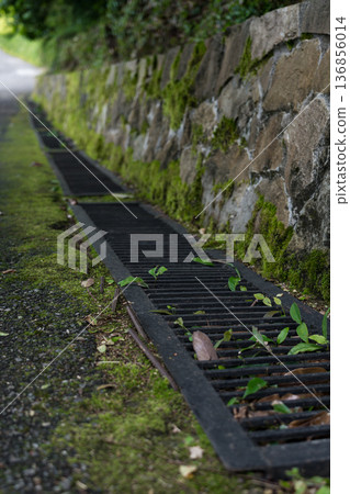 The drain is overgrown with moss. diagonals The drain is overgrown with moss. diagonals 136856014