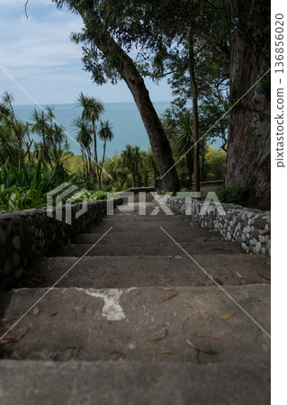 Steps down in the Botanical Garden of Georgia View of the Black Sea 136856020