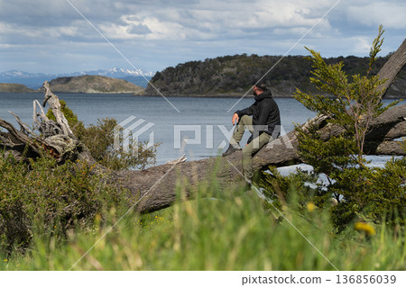Man sitting on fallen tree trunk overlooking Beagle Channel, Tierra del Fuego 136856039