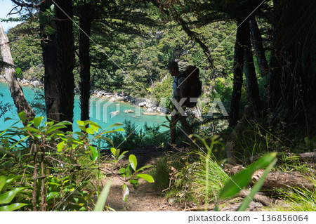 Hiker walking on forest coastal trail in Abel Tasman National Park, NZ 136856064