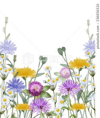 Wildflower floral banner watercolor illustration 136856310