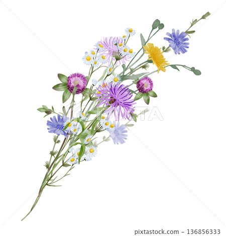 Wildflower branch watercolor illustration 136856333