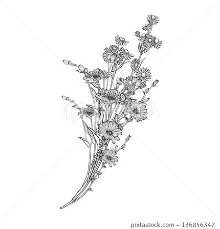 Wildflower bouquet vector illustration 136856347