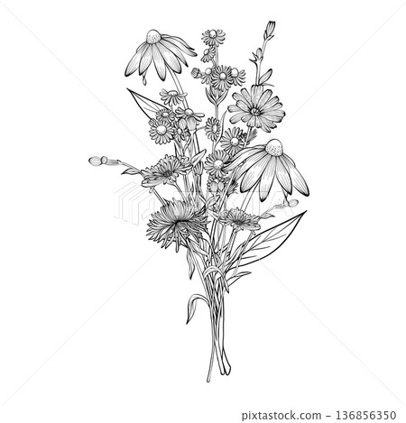 Wildflower bouquet vector illustration 136856350