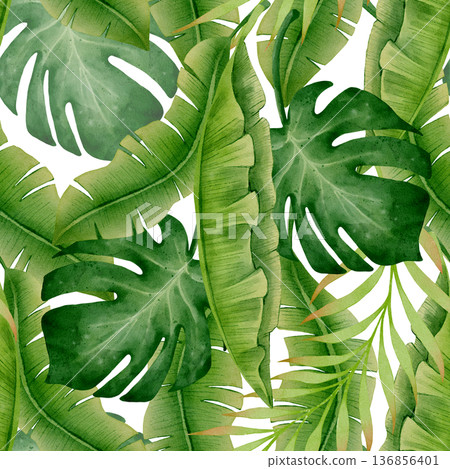 Tropical Monstera Banana Seamless Pattern 136856401