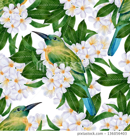 Tropical Plumeria Bird Seamless Pattern 136856403