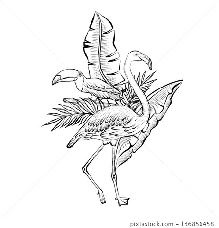 Tropical Flamingo Leaves Vector Line Illustration 136856458