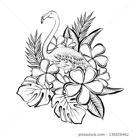 Flamingo Flowers Vector Line Illustration 136856462