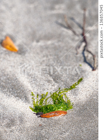 A pattern of sandy beach 136857045