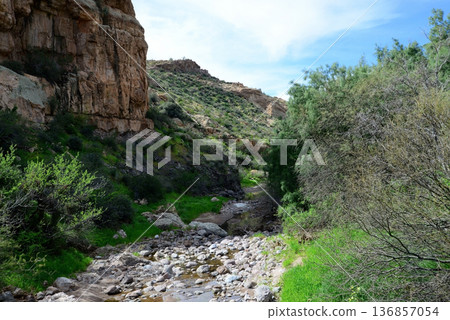 Arizona Desert Creek Arizona Desert Creek 136857054