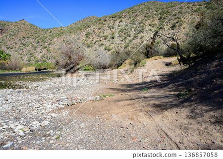 Salt River Recreation Area Arizona 136857058