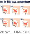 日文發音的口腔橫切面圖 136857303
