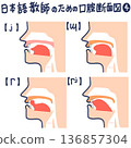 日文發音的口腔橫切面圖 136857304
