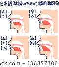 日文發音的口腔橫切面圖 136857306