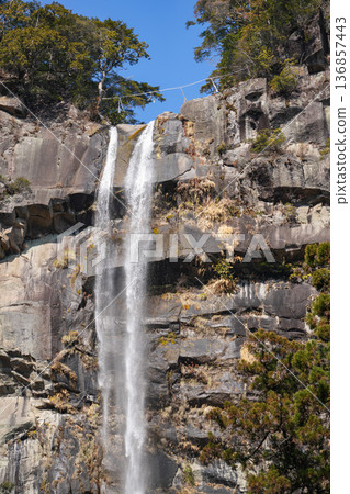 Nachi's waterfall Nachi's waterfall 136857443