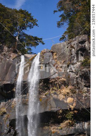 Nachi's waterfall Nachi's waterfall 136857444