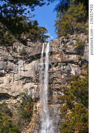 Nachi's waterfall 136857450