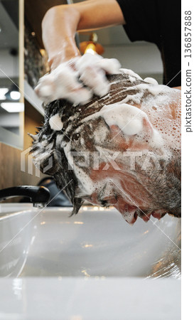 Man getting hair washed at a salon in the afternoon with soapy water Man getting hair washed at a salon in the afternoon with soapy water 136857888