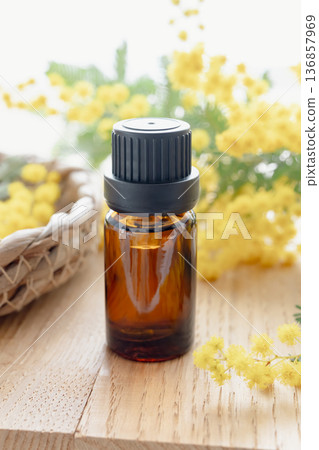 香薰精油與含羞草花 香薰精油與含羞草花 136857969