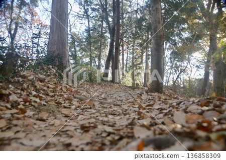 冬季山徑被落葉覆蓋（埼玉縣寄居町勘上堂山） 136858309