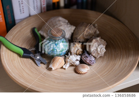 Shells and beads arranged in a bowl with tools on a shelf 136858686