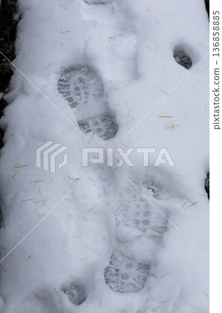Snowy ground with clear footprints showing recent activity in winter Snowy ground with clear footprints showing recent activity in winter 136858885