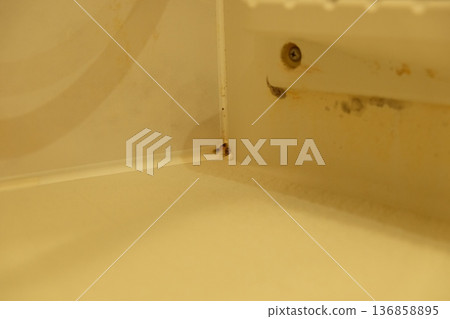 浴室角落有黴菌 136858895