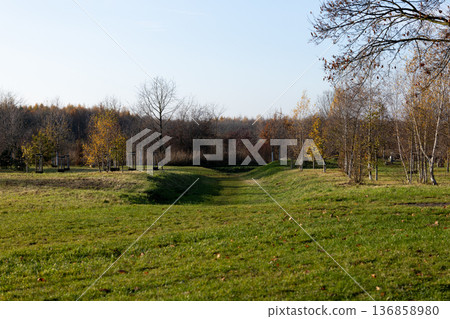 Serene landscape with autumn trees and a clear blue sky Serene landscape with autumn trees and a clear blue sky 136858980