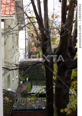 Hidden garden view with trees and outdoor space during autumn season Hidden garden view with trees and outdoor space during autumn season 136859002