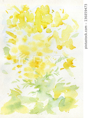 Spring watercolor background inspired by mimosa. Gentle botanical material in yellow and green. 136859473