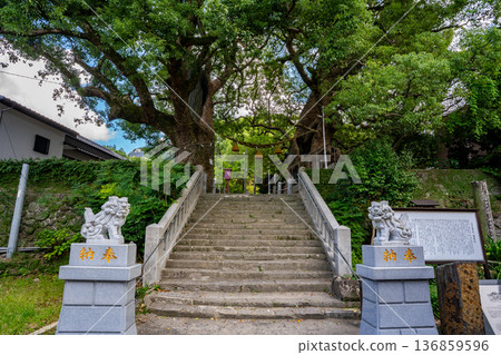 山王神社（長崎市）遭原子彈襲擊的樟樹 136859596