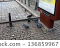 Pigeons gather near a sign on a cobblestone street in a busy area 136859967