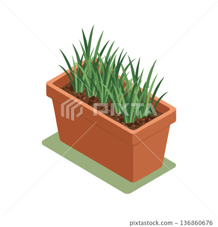 Potted green grass plant in rectangular brown container vector gardening home decoration natural element illustration Potted green grass plant in rectangular brown container vector gardening home decoration natural element illustration 136860676
