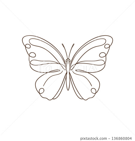 Butterfly line art simple elegant outline drawing insect wings nature vector design graphic element Butterfly line art simple elegant outline drawing insect wings nature vector design graphic element 136860804