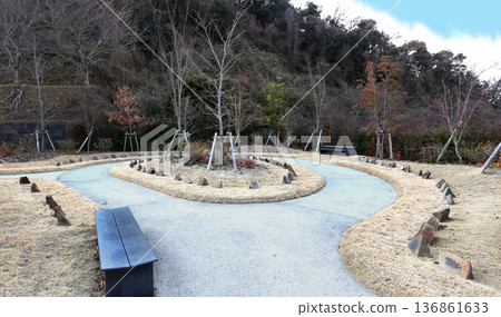 冬季樹葬 冬季樹葬 136861633
