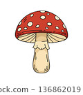 Red spotted mushroom with beige stem vector illustration of forest fungus natural design element 136862019